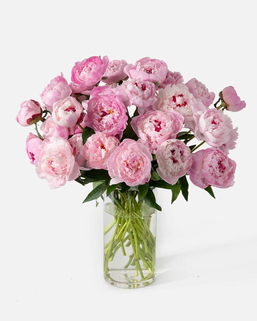 product-23 باکس گل 100 تومانی آلیس - تصویر 1